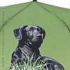 Black Labrador Telescopic Umbrella